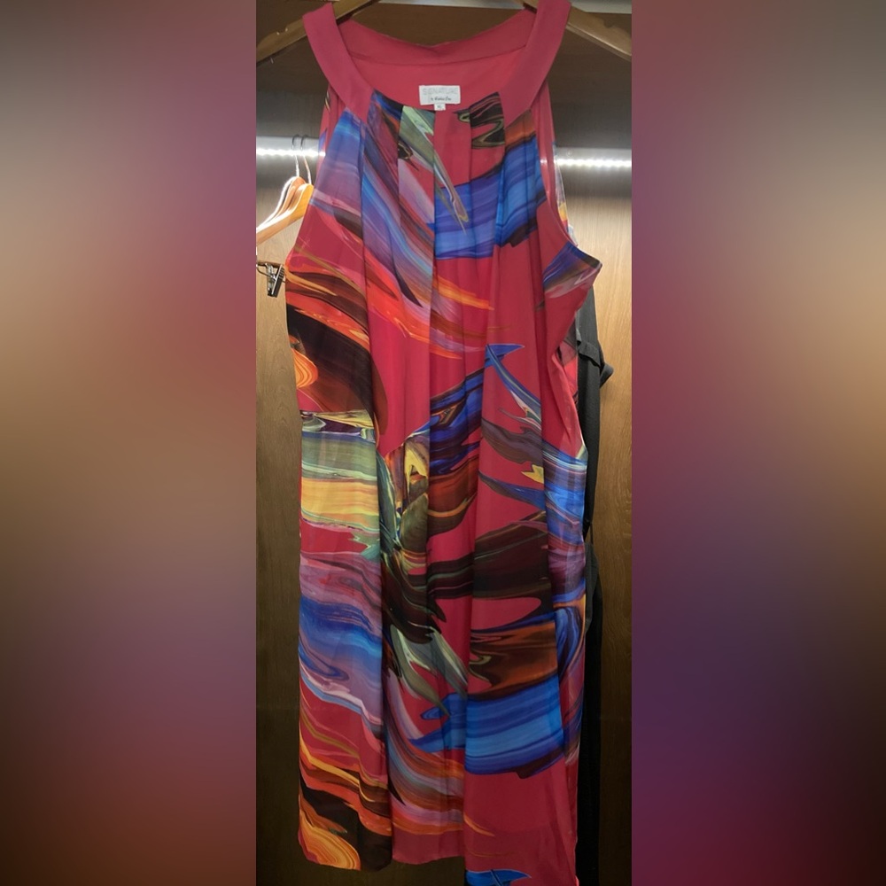 Robbie Bee Signature Multicolor Dress